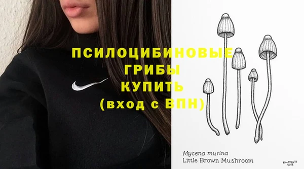 твердый Покровск