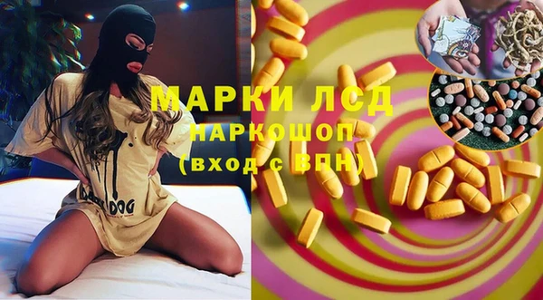 spice Покачи