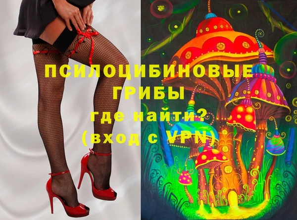 spice Покачи