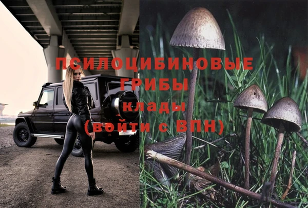 винт Белокуриха